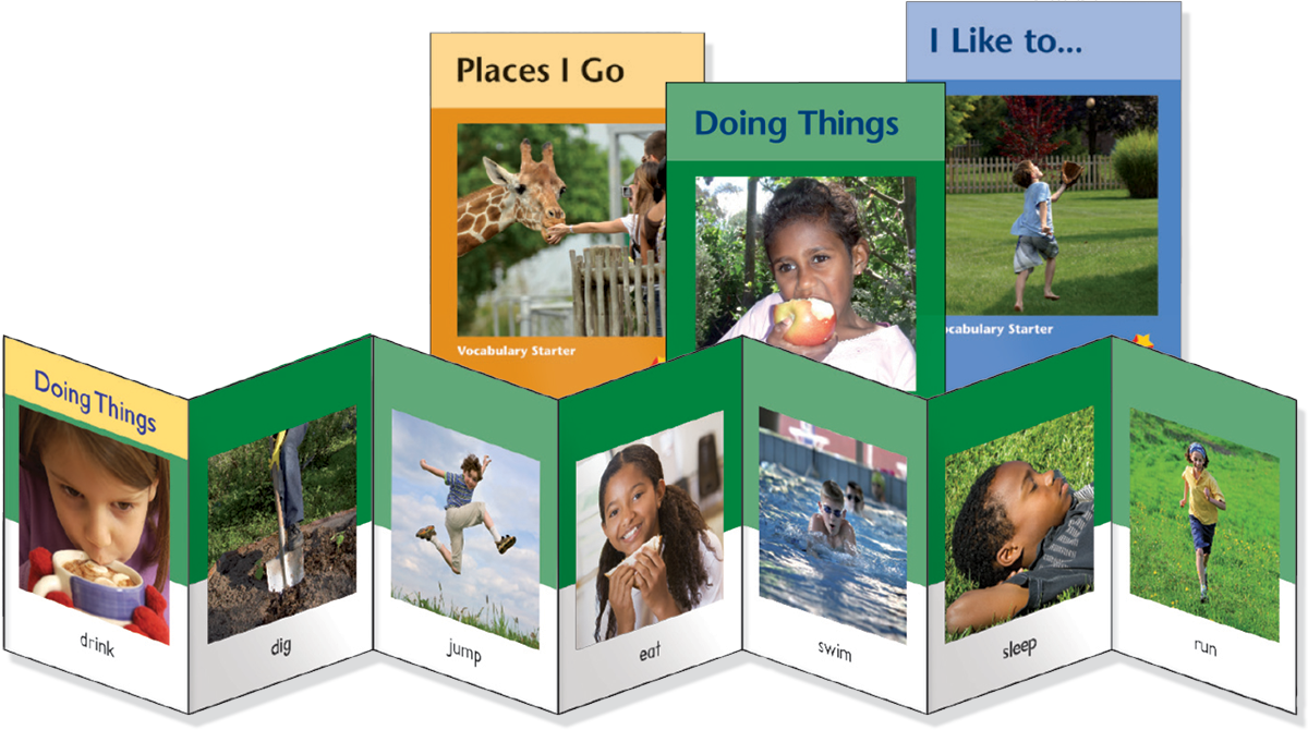 program-components-flying-start-to-literacy